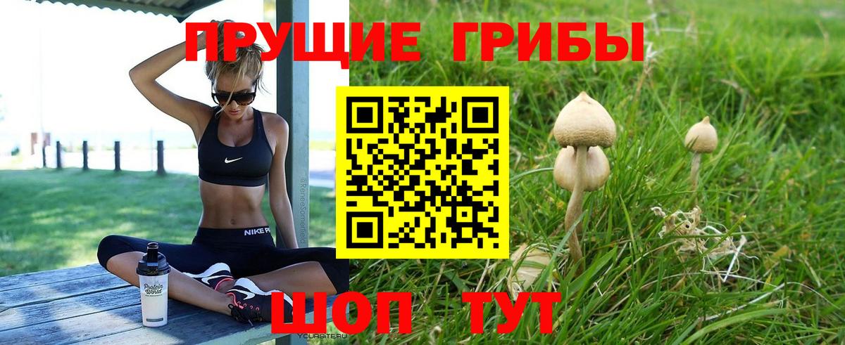 Щёлково  Псилоцибиновые грибы прущие грибы  Вход с VPN 